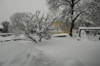 Heidinger im Winter