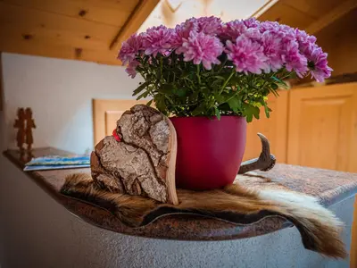 Grundriss der Unterkunft Ferienwohnung Berghof