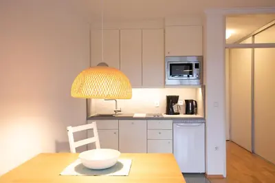 Küche/Küchenzeile in der Unterkunft The Alpine Ridge Apartment