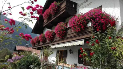 Ein Garten an der Unterkunft Pension Mühlbauer
