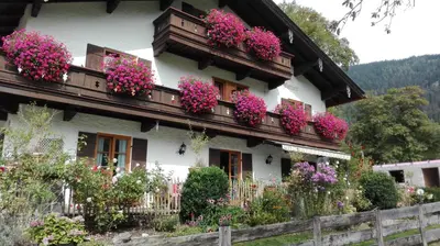 Ein Garten an der Unterkunft Pension Mühlbauer