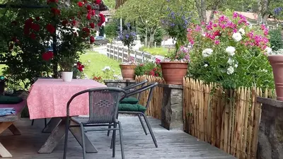 Ein Garten an der Unterkunft Pension Mühlbauer