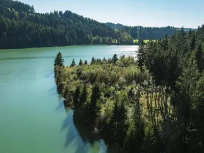 Naturlandschaft in der Nähe der Ferienwohnung