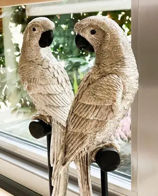 Tiere im Hotel oder in der Nähe