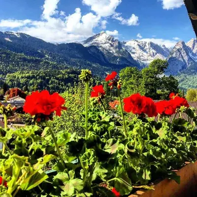 Naturlandschaft in der Nähe der Pension