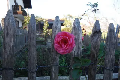 Ein Garten an der Unterkunft Appartement - Ferienwohnung - FeWo Obernkammer