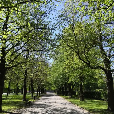 Naturlandschaft in der Nähe des Hotels