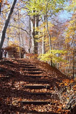 Naturlandschaft in der Nähe der Ferienwohnung