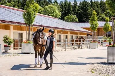 Reiten in der Ferienwohnung oder in der Nähe