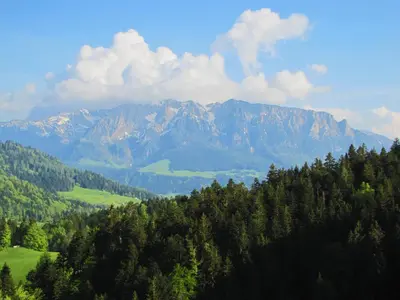 Naturlandschaft in der Nähe des Bauernhofs