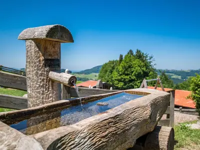 Naturlandschaft in der Nähe des Hotels