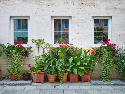 Ein Garten an der Unterkunft Hotel Alfa Zentrum