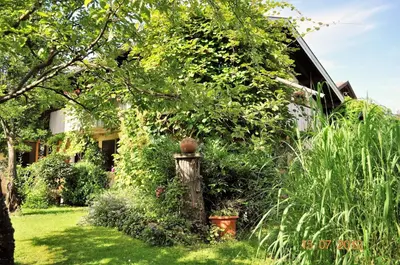 Ein Garten an der Unterkunft Ferienwohnung Fischer