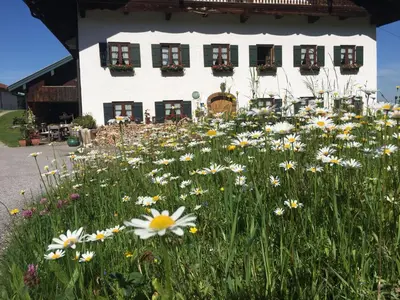 Ein Garten an der Unterkunft Stadlerhof