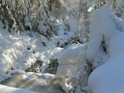 Landhaus In der Au im Winter