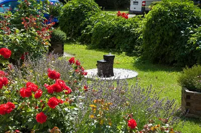Ein Garten an der Unterkunft Kurhotel Dornröschen