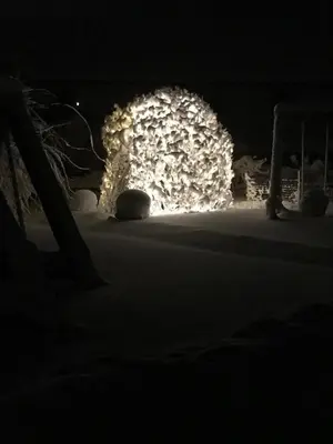 Zum Dammerbauer im Winter