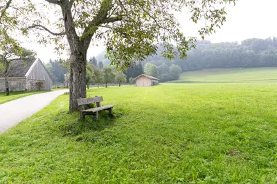 Ein Garten an der Unterkunft Landgasthof Karner
