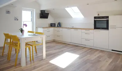 Küche/Küchenzeile in der Unterkunft Boardinghouse Jungwirth-Wohnzeit