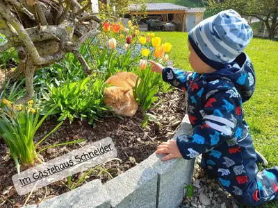 Ein Garten an der Unterkunft Gästehaus Schneider
