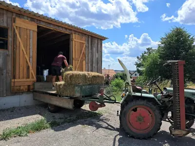 Grundriss der Unterkunft Gästehaus Schneider
