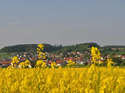 Naturlandschaft in der Nähe der Ferienwohnung