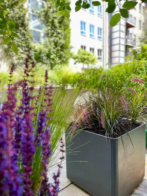 Ein Garten an der Unterkunft Boutique Hotel Atrium München