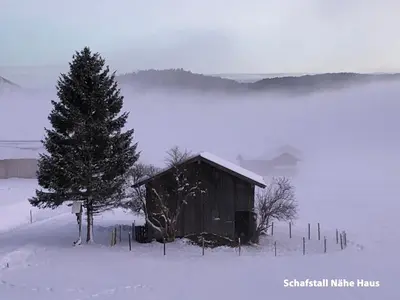 Ferienwohnungen am Kranzbach FeWo2 im Winter