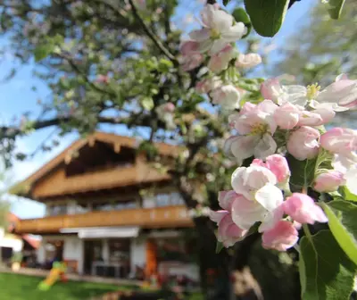 Ein Garten an der Unterkunft Appartementhaus Schirsner - direkt am See & am Kurpark