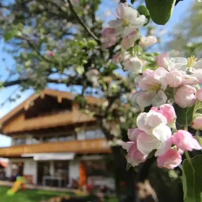 Appartementhaus Schirsner - direkt am See & am Kurpark