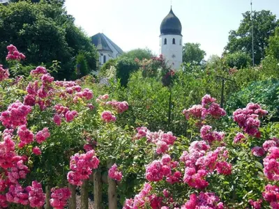 Ein Garten an der Unterkunft Ferienwohnungen Winkler