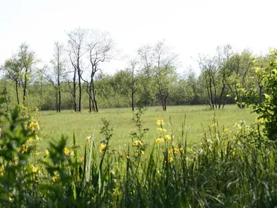 Naturlandschaft in der Nähe des Bauernhofs