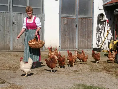 Tiere in diesem Bauernhof oder in der Nähe
