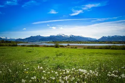 Naturlandschaft in der Nähe der Ferienwohnung