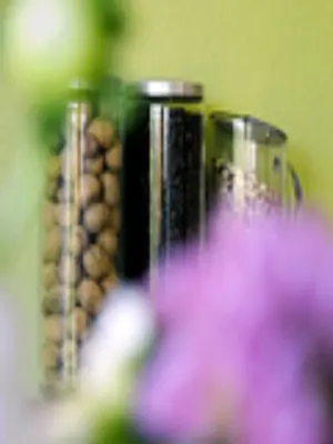 Grundriss der Unterkunft Business & Budget Hotel Tessin