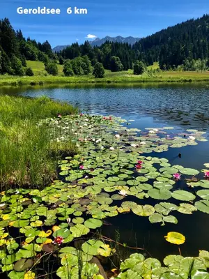 Naturlandschaft in der Nähe der Ferienwohnung
