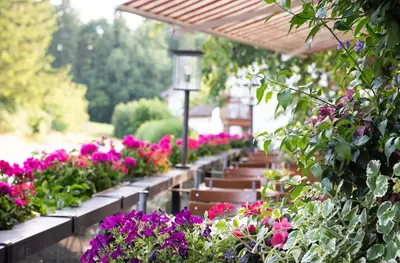 Ein Garten an der Unterkunft Hotel-Gasthof Huber