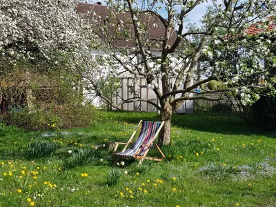 Ein Garten an der Unterkunft Ferienwohnung Hofen 5