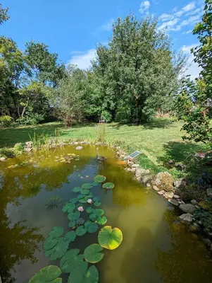 Naturlandschaft in der Nähe der Ferienwohnung
