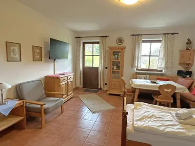 TV/Unterhaltungsangebot in der Unterkunft Gschwendtnerhof App9 Hoffmann