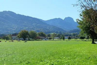 Naturlandschaft in der Nähe der Ferienwohnung