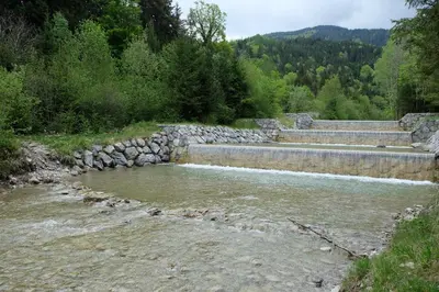 Naturlandschaft in der Nähe der Ferienwohnung