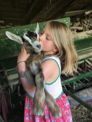 Tiere im Ferienhaus oder in der Nähe