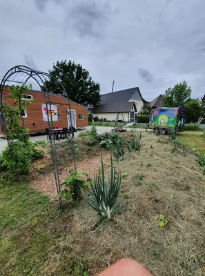 Ein Garten an der Unterkunft Tiny House Lebenshofalpakas