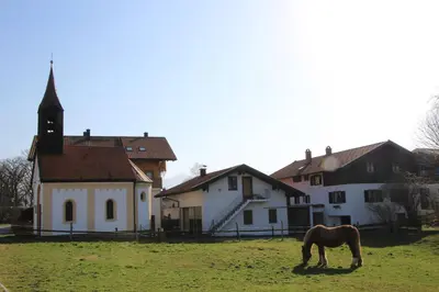 Tiere in der Ferienwohnung oder in der Nähe