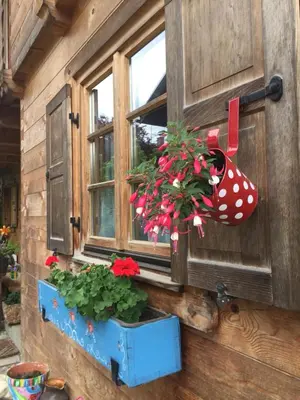 Ein Garten an der Unterkunft Blockhaus-Traum Huber
