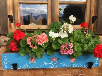 Grundriss der Unterkunft Blockhaus-Traum Huber
