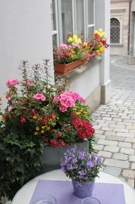 Ein Garten an der Unterkunft Hotel am Rathaus