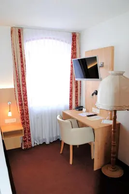 TV/Unterhaltungsangebot in der Unterkunft Landgasthof Goldener Pflug