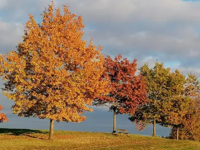Naturlandschaft in der Nähe der Ferienwohnung